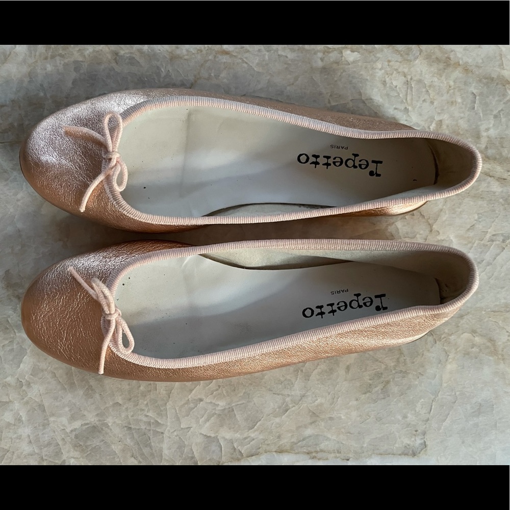Repetto Ballet Flats.